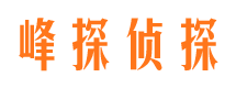 靖西侦探